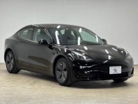 2022 TESLA MODEL 3 RWD