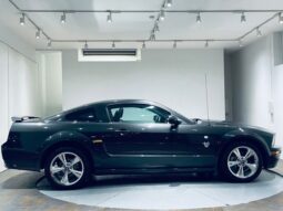 2010 FORD FORD MUSTANG V8 GT full