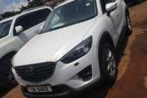 b11ce91d-9761-4d42-a4bf-3f06be77c728